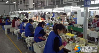 高質(zhì)量推動(dòng)快發(fā)展 邵陽洞口經(jīng)濟(jì)開發(fā)區(qū)實(shí)現(xiàn)高效推進(jìn)