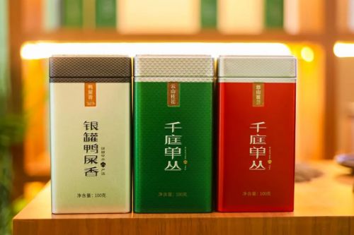 謀新篇 再起航 2024潮州工夫茶大會今日開幕