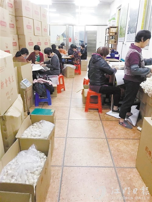 昌聯茶葉 江門傳統茶文化的守護者與創新者